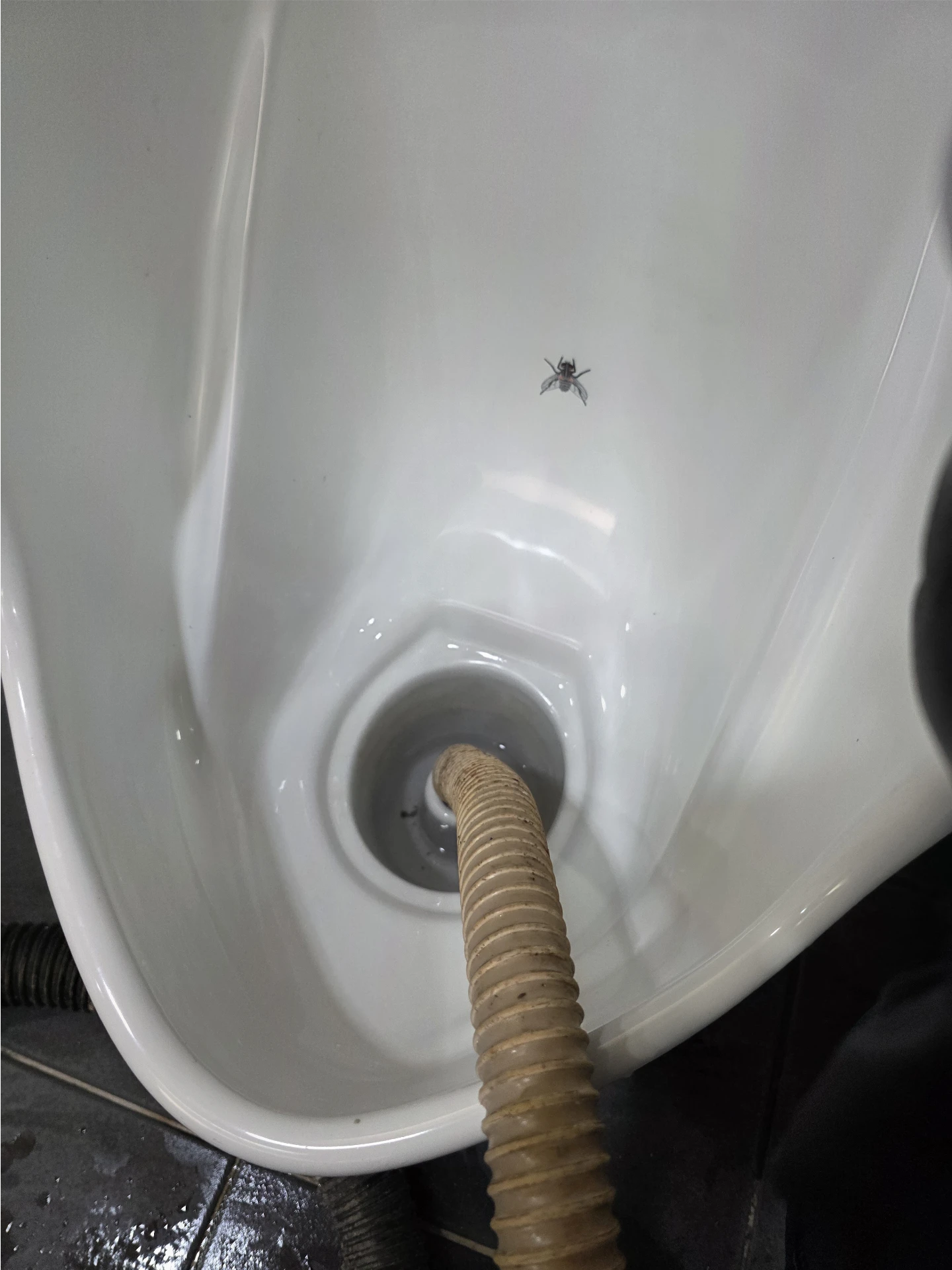 일산하수구막힘